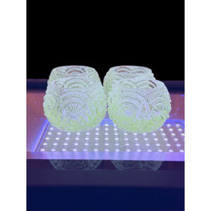 Antique Uranium Glass Salt Cellars EAPG Medallion Pattern Strong UV Glow 1.75”